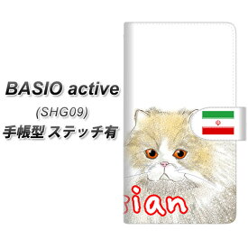 au BASIO active SHG09 手帳型 スマホケース カバー 【ステッチタイプ】【YE830 ペルシャ01 UV印刷】