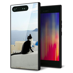 Xperia XZ1 SOV36 �P�[�X �J�o�[ �w�� �K���X TPU �f�U�C�� �y VA805 �l�R�ƒn���C �z ��� ���� MMLM