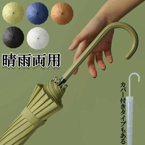 P JP n Jo[t Wv 16{ 傫  jp ʋ P am Y wl fB[X j   ʊw y y v w Z w zCg ubN 