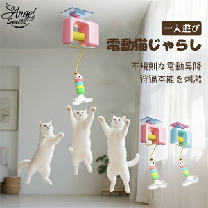 LlV dL炵 Lߋ   USB[d OȂ lR  lC Ԃ ^s {\h Ԃ牺 H Lւ̃v[g