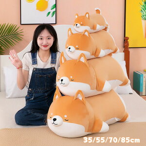   Č ʂ  Q ԓp 35/55/70/85cm NbV ObY CeA q   Aj} ӂӂŖ _炩 Sn v[g oYj 