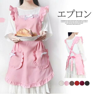 _Ԍ聚50%OFFP10{2,319~I 8/24^^ł킢I6FWJ u[ t [X { Gv Lb`G 댋  VGv Ch  Ɨp