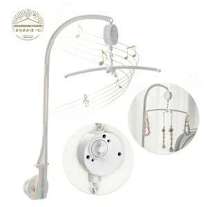 xbh[ xr[ IS[ 芪 360x] QpQ Ԃ  oYj [