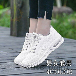 Xj[J[ V[Y Y fB[X w   ʋC jp jOV[Y Ȃ i ʋ ʊw ₷ ^C