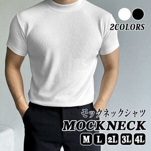 StVc bNlbN Xgb` TVc  TVc n Vc  StVcY ~ StVcYH~ z ʋC StCi[ StEGA zC