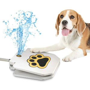 pݏ  O ybg XvN[ pߋ   fBXyT[ Ŋꂽpybg  Vїp p