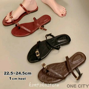 T_ Xgbv Xbp tbg V[Y [V[Y ~ ؂ 1cmq[ ₷ r ~[ ₷ r[`T_ C r[` ][g s y Ȃ 