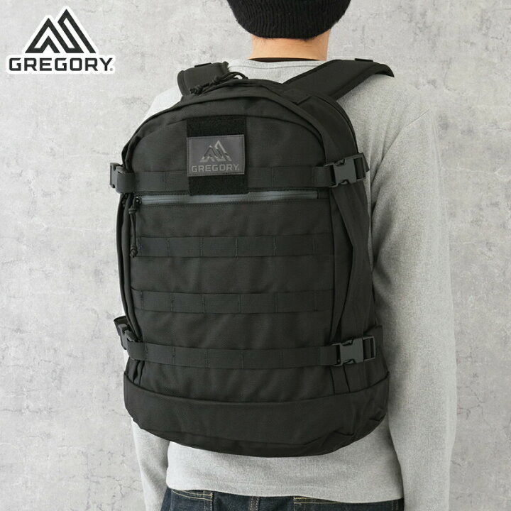 楽天市場】GREGORY グレゴリー #148204 バウンダリーデイバックパック 
