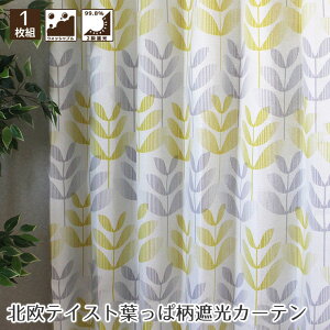 ukeCXgtϕv`L ՌJ[e EHbVu J[e k CG[ ̎q LbY[  J[e V rO l炵 sb^TCY 2