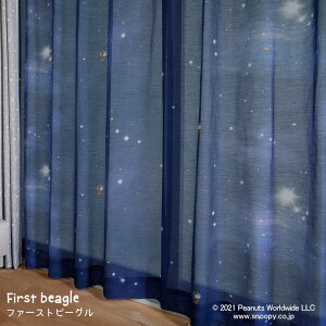 qɂBFԂԃXk[s[ƃEbhXgbÑ[XJ[e t@[Xgr[O _[Nu[ 100×176cm (1)