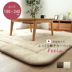 YŖ40mmgp }CNt@Co[n ӂ~ wtB[F~x x[W 190×240cm