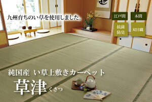 Y  ~ J[ybg oڐD wÁx ]ˊ2(176×176cmj
