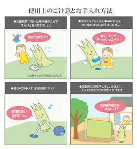 Y  ~ J[ybg sD wsm΁x cn8(340×340cmj F{YCgp
