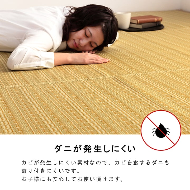 洗える カーペット ダイニング ラグ 敷詰 丈夫 日本製 国産 除菌スプレー対応 ござ アウトドア ペット 団地間6畳（約255×340cm） |  すてきらいふ
