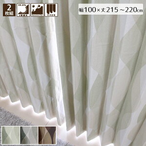 �l�I Neo 2���Ռ��J�[�e�� 2���g ��100×215�`220cm��