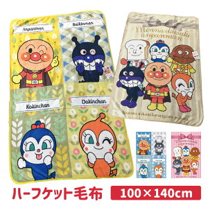 Ap} n[tPbgѕz (tl) 100×140cmCG[ sN LN^[ n[tPbg xr[Pbg uPbg Ђ LbY ct ۈ牀 G| oCL} ꂢ