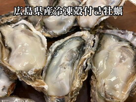 【加熱用】広島県産冷凍殻付き牡蠣　9～10kg牡蠣ワングランプリ加熱部門準グランプリ！