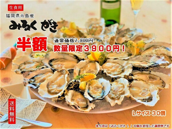 楽天市場 半額 みるくがき Lサイズ 30個 牡蠣 かき 殻付き 生食可 福岡県糸島産 ブランド 通常価格7800円が半額3900円 シーフードマーケット 楽天市場 半額 みるくがき Lサイズ 30個 牡蠣 かき 殻付き 生食可 福岡県糸島産 ブランド 通常価格7800円が半額3900円 シーフードマーケット