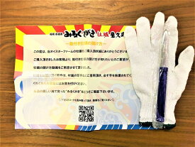 生食時の必須アイテム カキナイフ 軍手 セット （ 牡蠣ナイフ かきナイフ ）