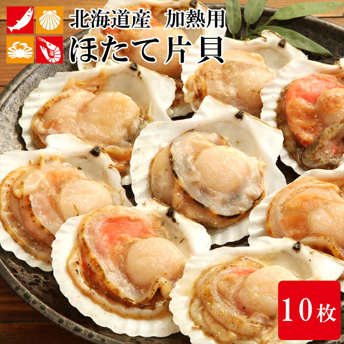 ホタテ殻付き片貝10枚北海道産ほたて貝殻付ひも貝柱帆立BBQバーベキューギフト