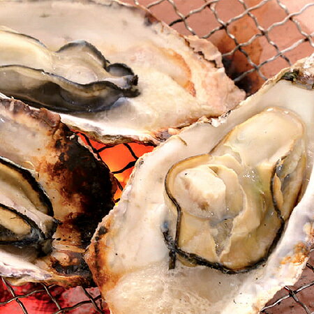 殻付き牡蠣ほたて片貝つぼ焼きサザエ海鮮バーベキューセット合計25個入送料無料さざえ牡蠣貝殻付きかきBBQ海鮮バーベキュー冷凍炭焼き海産物セット