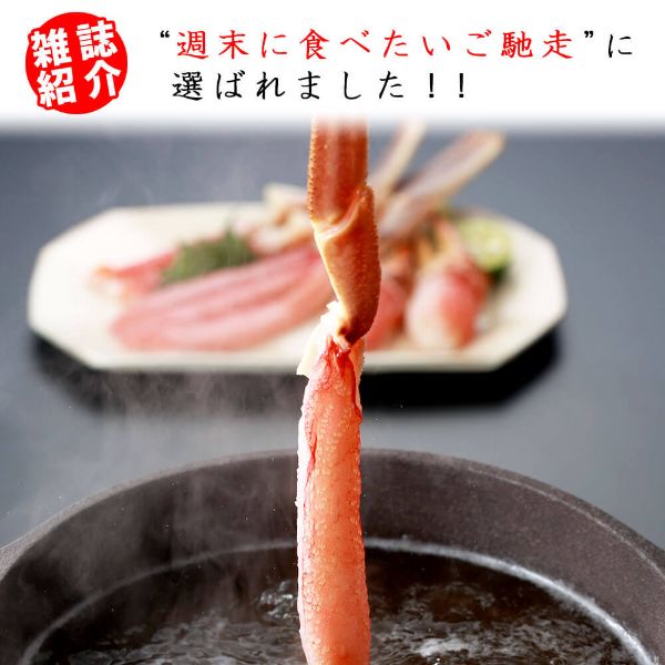 雑誌紹介