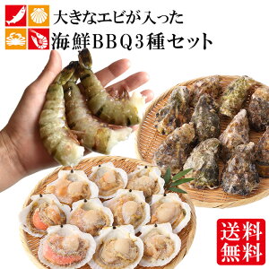 アウトドア バーベキュー セット 魚介類の人気商品 通販 価格比較 価格 Com アウトドア バーベキュー セット 魚介類の人気商品 通販 価格比較 価格 Com