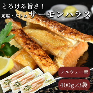 y20%OFFIzƂ낯|I400g×3 mEF[Y j 艖T[nX nX AgeBbNT[ g  ͂炷 ٓ ٓ H ԏĂ tCp O  