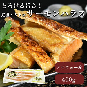 yƂ낯|IzmEF[Y T[nX 400g 艖 nX AgeBbNT[ g  ͂炷 ٓ H CN Ⓚ Mtg ܂ ٓ Ε Mtg Ε