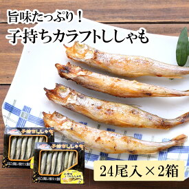 あす楽 子持ち カラフト ししゃも 24尾 2箱 セット 遅れてごめんね 母の日 お祝い ギフト 送料無料シシャモ 魚 干物 冷凍 プレゼント 3L サイズ 小魚 焼き魚 BBQ おつまみ おかず