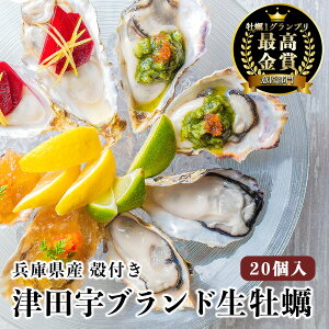 ɌY uhy y 20 Ε Mtg Ε v[g ÓcFY 嗱 JL Hpy Ⓚy a hg BBQ  Mtg v[g j JJĂ