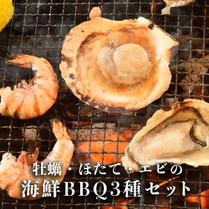 y20%OFFN[|I10/11܂ŁzCN o[xL[ 3Zbg y z^e ЊL Gr e10 BBQ Ε Mtg Ε 񂹃O AEghA  H  ق J