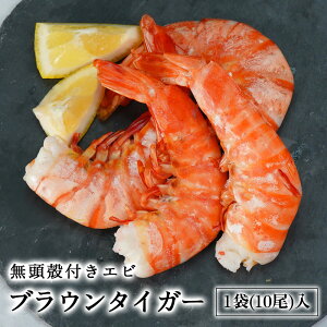 嗱 Gr 10 VR   kt CV j hV̓ v[g BBQ J[ uE^CK[  AEghA Lv o[xL[ ȒP 񂹃O Ⓚ Mtg v[