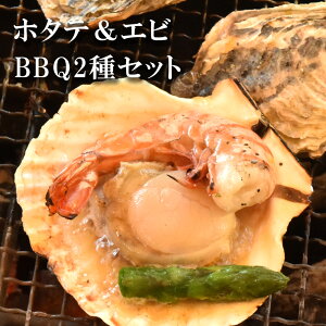  VR CV z^e BBQ 2Zbg CN o[xL[   L Gr AEghA Ⓚ