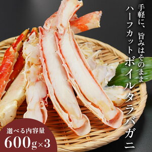 Ε Mtg {C^oKj n[tJbg ^oKj Y j 킢 {C ^o 600g Jbgς v[g  I ΂ l C̍K 