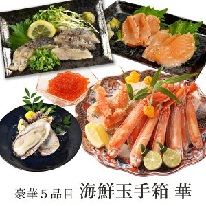 CNʎ蔠y؁z 5_Zbg lߍ킹 CNMtg  YCKj Jj  ނg y T  T[ hgp Mtg p 蕨  Jj CN j 