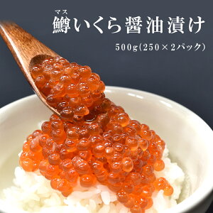 Ε Mtg Ε ܂ ݖЂ 500g j Mtg 񂹃O  H   CNMtg C̍K CN Ⓚ CN  v[g ܂ 