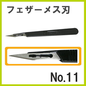 tFU[ Xn No.11 12P Obv