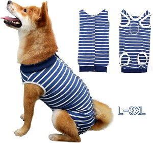 p㕞 p  pEFA ی앞 {^^Cv 앞 sDp IX ی 畆ی D rߖh~ Yp ^ ^ (L-3XL)