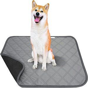 y2_Zbgz􂦂ybgV[c pbh JԂg ybg}bg V[c ^`^ L p ld\ z  Rh~ ~ @Ŋې lGʗp (50