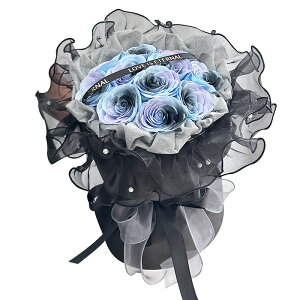 \[vt[ ԑ t[ Mtg lC av[g̓ ̓ hV̓ o^C ? ?t[ ԑ j  Ǝ NX}X LO ޏ ʉ ސE 