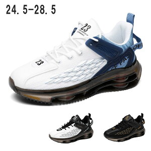 Xj[J[ Y  y jOV[Y ʋC X|[cV[Y EH[LOV[Y C ^C L