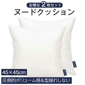 クッション 2個セット 45×45 ヌードクッション 中身 中材 洗える クッション クッションカバー用 クッションBODY インナークッション 圧倒的ボリューム感 セアテクッション ソファー 背もたれ ベッド 低反発 背当て 抱き枕 ホワイト ふわふわ