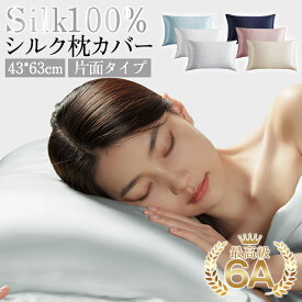 シルク 枕カバー 19匁 片面 43×63cm シルク枕カバー シルク100％ まくらカバー ファスナー式 ピローケース 片面シルク ピローカバー 絹 オールシーズン 封筒 洗える 無地 北欧風 保湿 美肌 美容 美髪 冷感 通気性 防ダニ