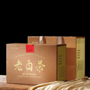   t  Y N V Ԓ [ Ɩp p  SԒ H  o E V500g cy11