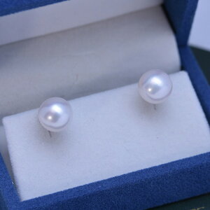 sAX p[ {^ Wp[ p[sAX Ǝ ^ sAX ig s925  w CO VR{^ W^  l ꗱ ^WG[ p zed10