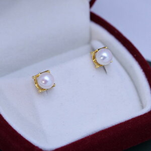 sAX p[ {^ Wp[ 6mm-7mm p[sAX Ǝ ^ sAX ig CO  w f[g ^WG[ p VR{^ W^  l zed36