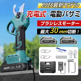 電動はさみ 枝切り 充電式 剪定ばさみ 充電式 高枝切り バッテリー互換 200cm延長ポール 電動剪定ハサミ ブラシレスモーター 枝切り 軽量 電池残量表示 果樹用 家庭用 女性用