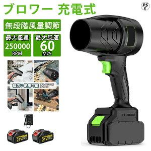 ブロワー 洗車 充電式ブロワー 強力 ジェットドライブロワー 電動 エアダスター コードレス ブロアー 小型 軽量 電気エアダスター ターボジェットファン 120m/s 250000rpm 高速回転 21V バッテリ