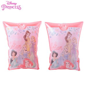 (pPbg֑)fBYj[vZX Diseney Princess A[O ǂ/XCO/r[`t[g/V 196634(pPbg֑)